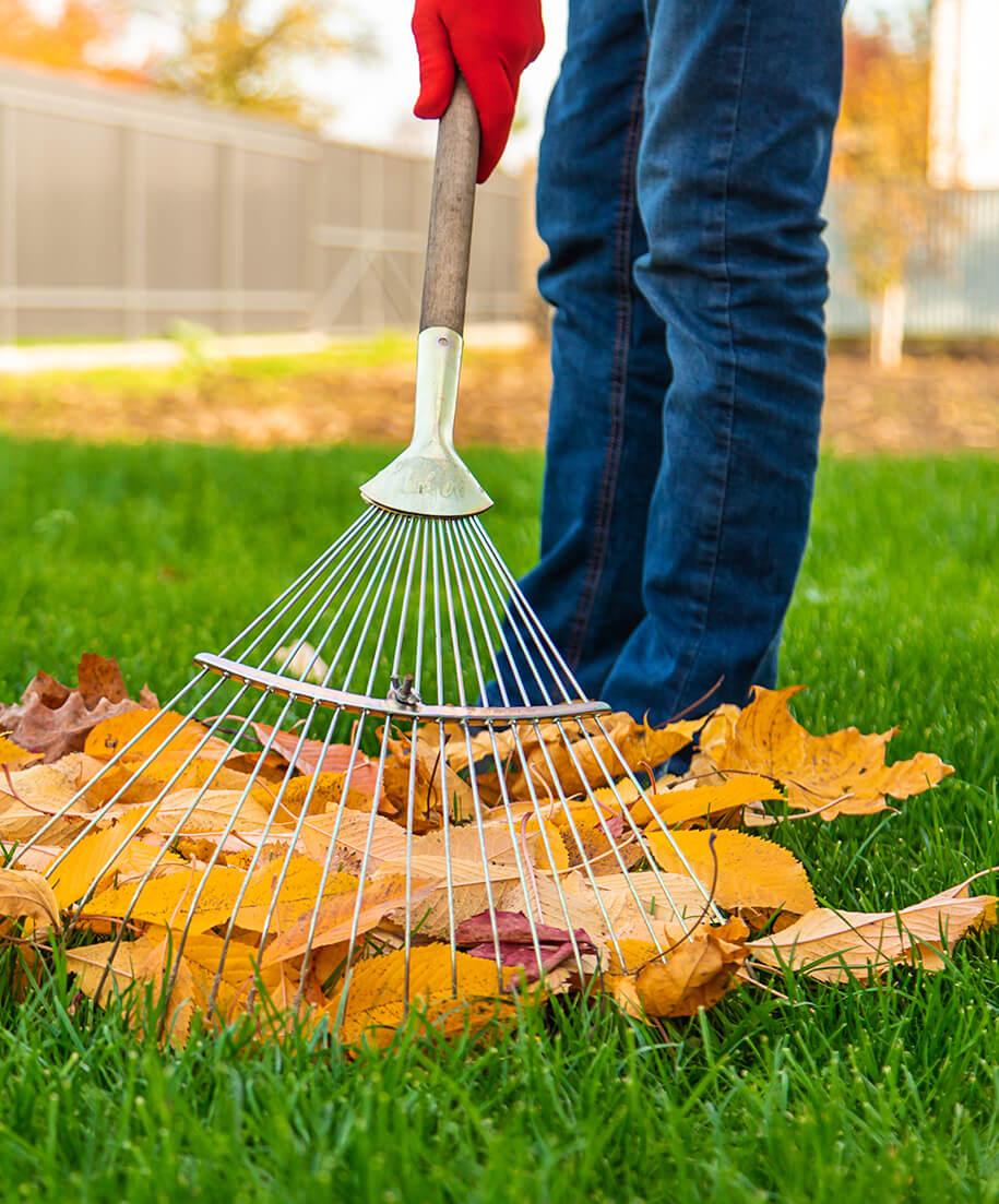 Reinigung der Blätter im Garten