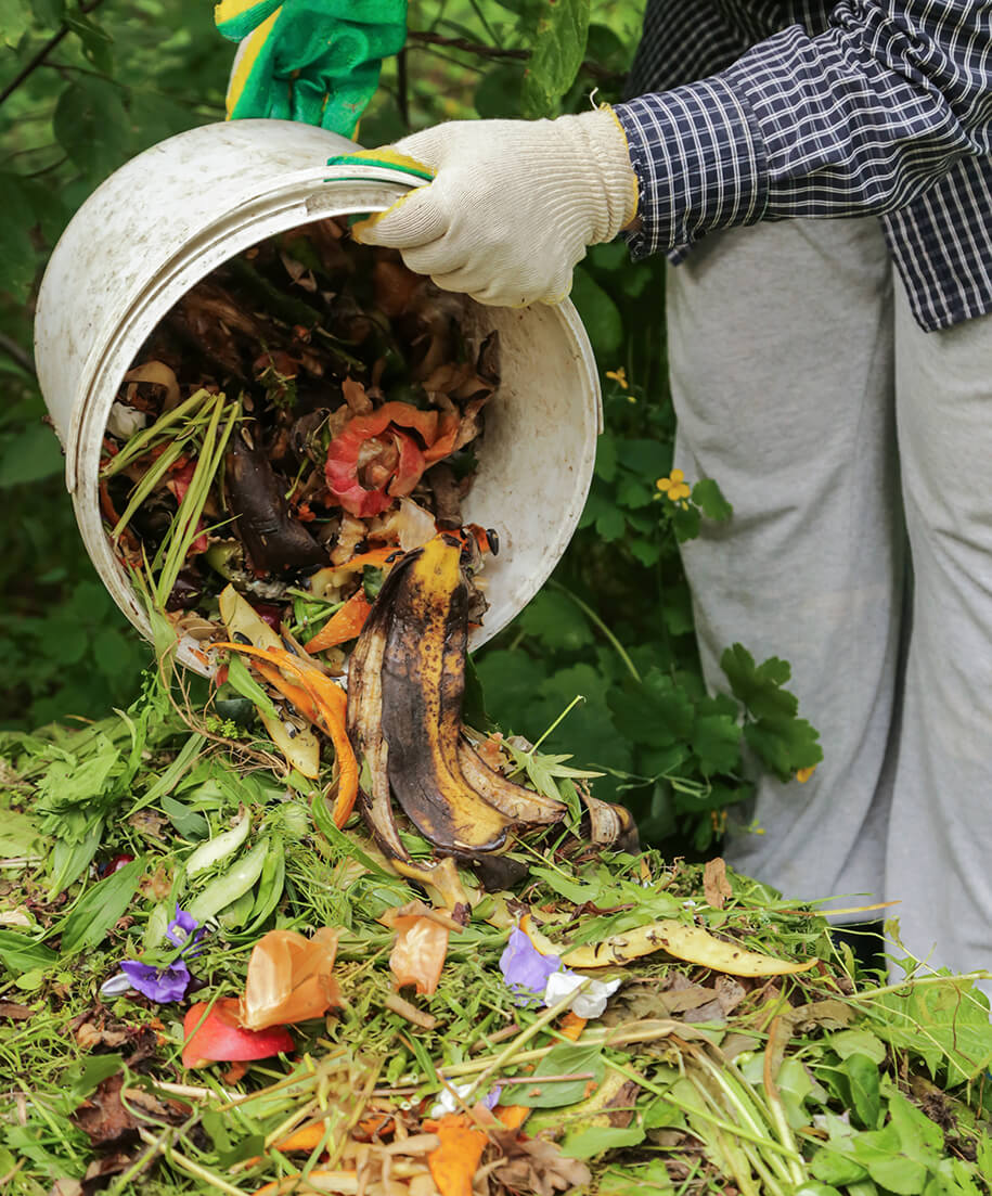 Eine Person entsorgt Grünabfall auf einem Haufen